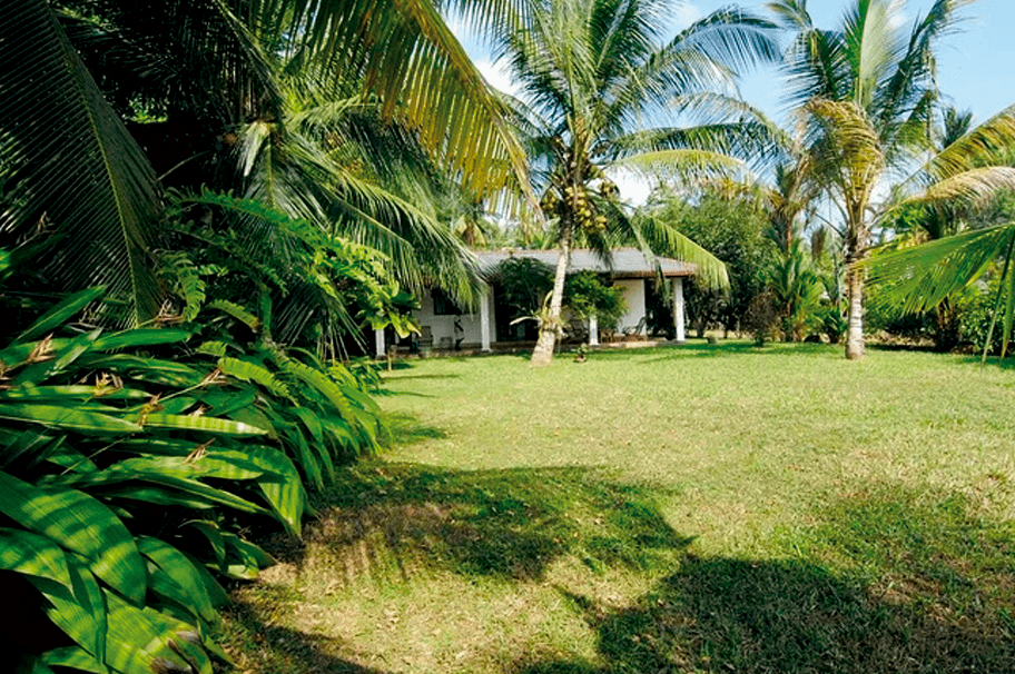 Daily yoga session at an Ayurveda retreat in Bentota, Sri Lanka