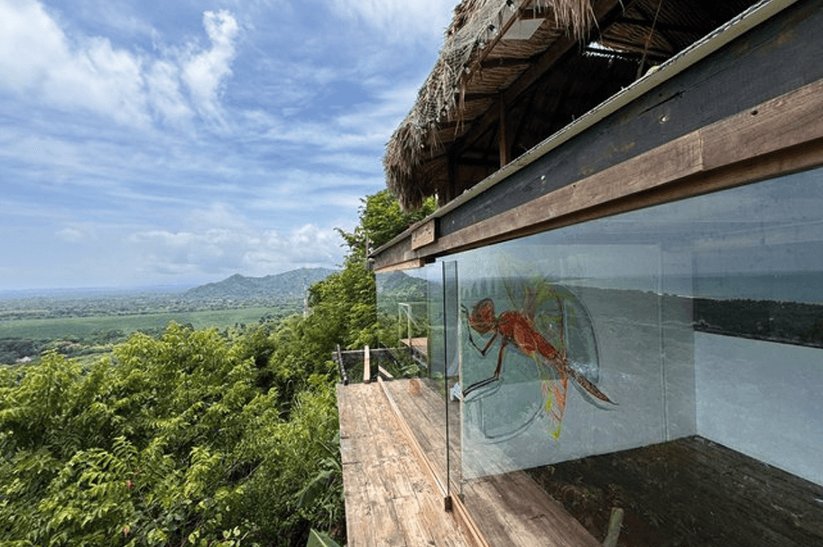 Sierra Nevada hike and wild swimming on a detox retreat near Palomino, Colombia